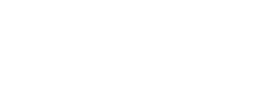 AOL Logo