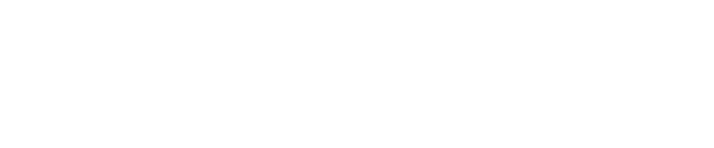 Fanatics Logo