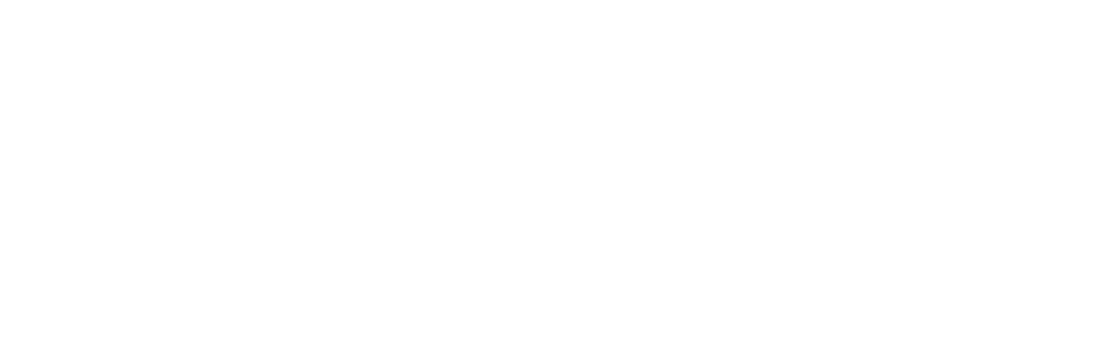 Northwestern University Logo