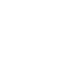 Business / Professional Services