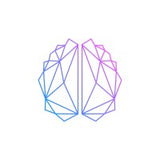 Chief Strategy Officer